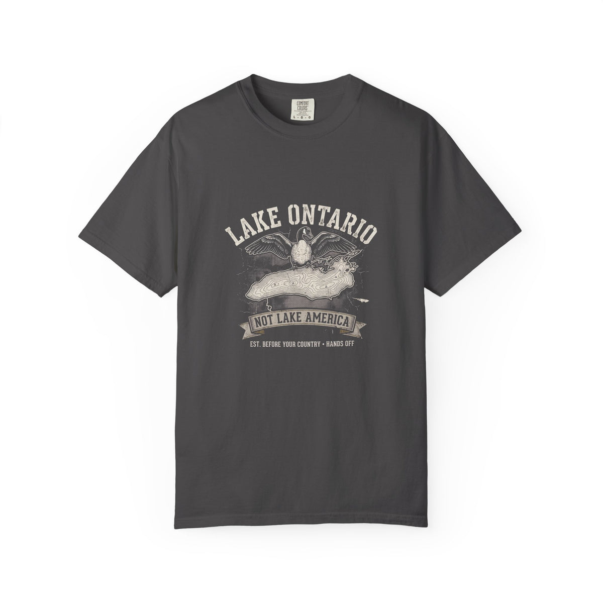 The "Lake Ontario (Not Lake America)" Heavyweight Streetwear Tee
