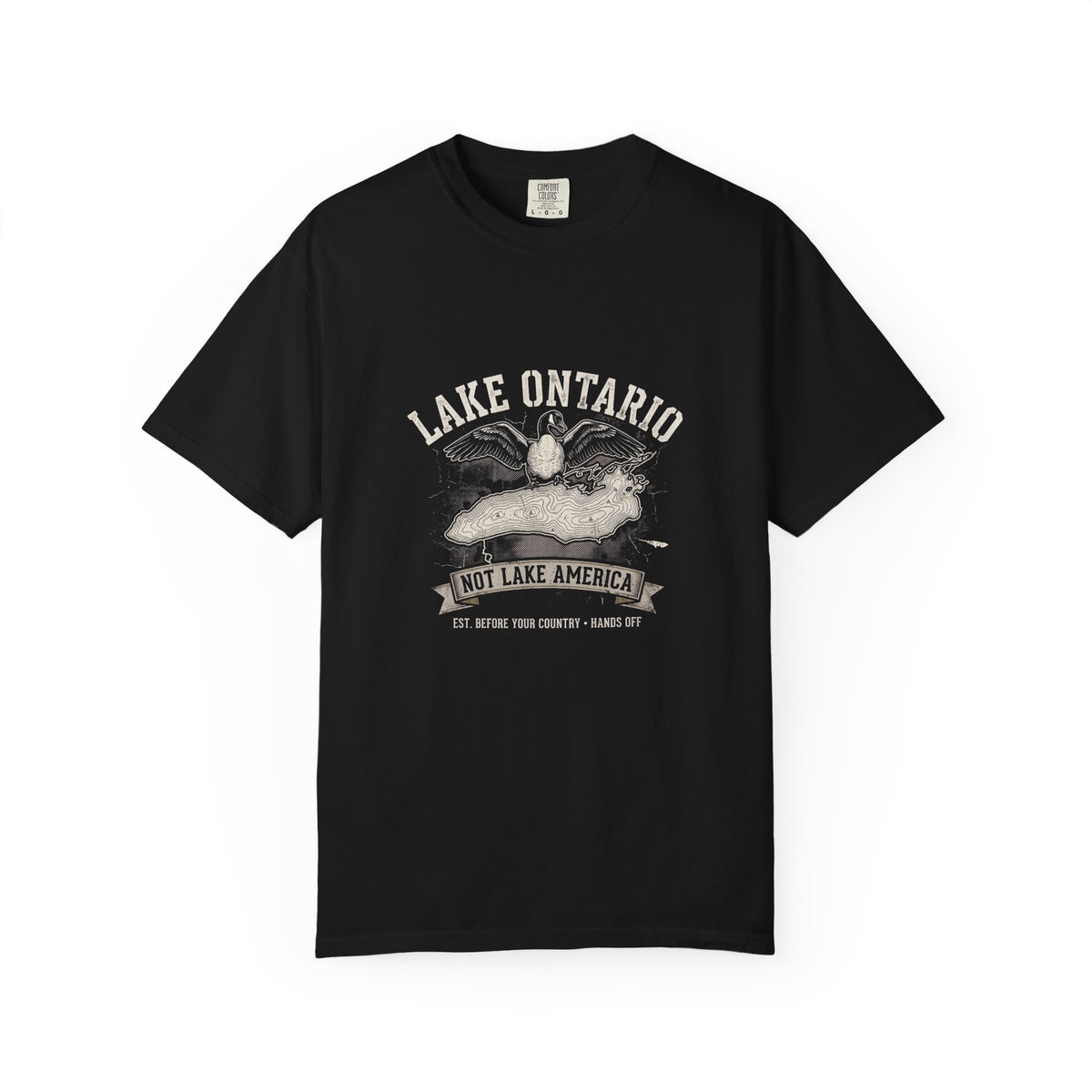 The "Lake Ontario (Not Lake America)" Heavyweight Streetwear Tee