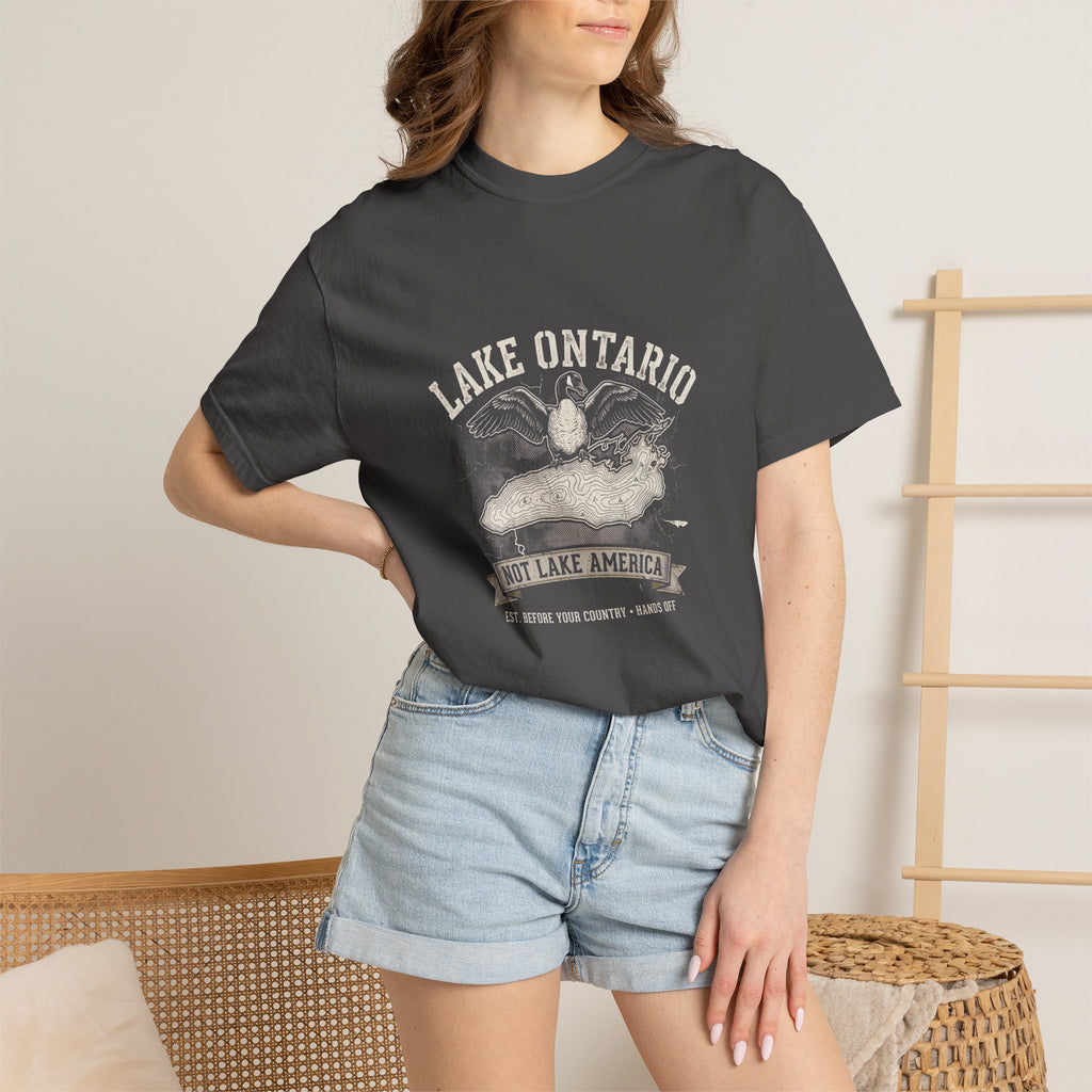 The "Lake Ontario (Not Lake America)" Heavyweight Streetwear Tee