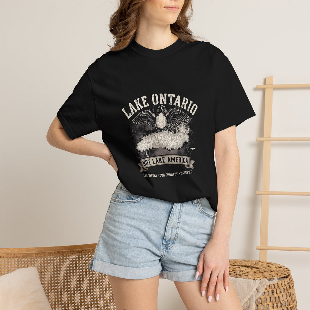 The "Lake Ontario (Not Lake America)" Heavyweight Streetwear Tee