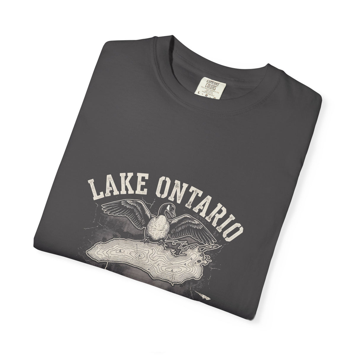 The "Lake Ontario (Not Lake America)" Heavyweight Streetwear Tee