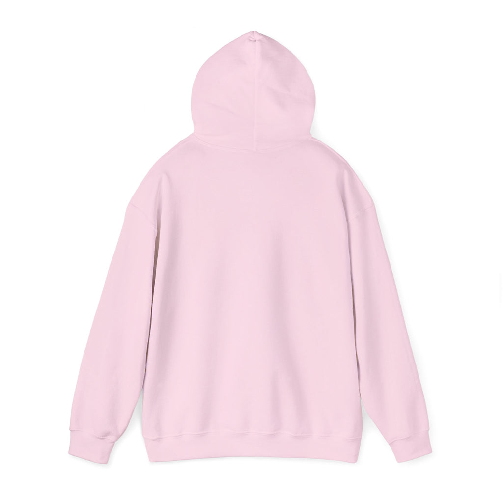 The "Great Shining Water" LAKE ONTARIO Heavyweight Hoodie