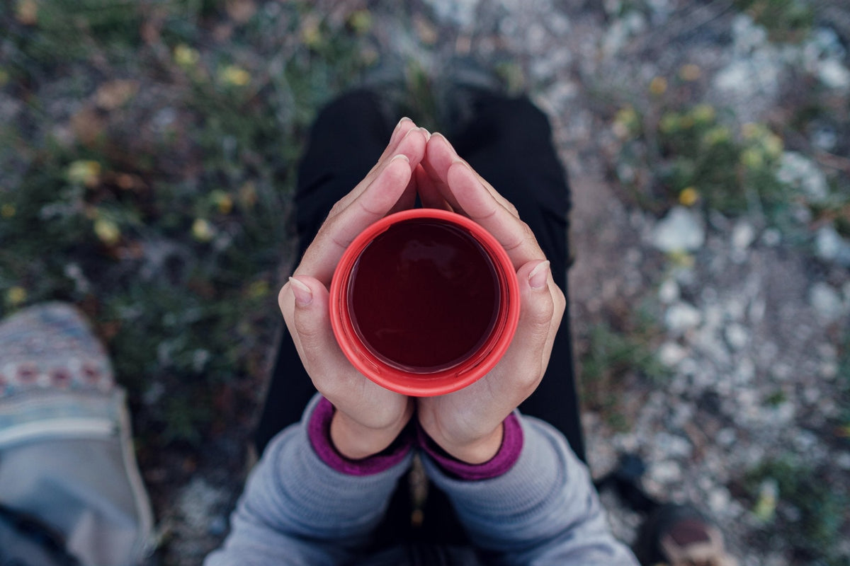Sacred Grounds: Organic Chaga-Coffee Mocha Wild Canadian Blend (sugar-free, dairy-free)